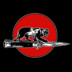 Jim Jones All Stars – CAT FIGHT – vinyl