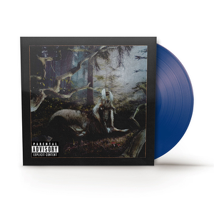 Earl Sweatshirt – FEET OF CLAY – vinyl