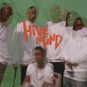 The Internet – Hive Mind – vinyl