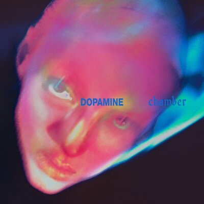 Fontaines D.C. – DOPAMINE CHAMBER (Vinyl)