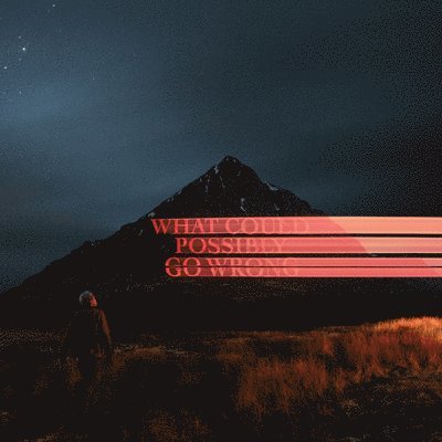 Dominic Fike – What Could Possibly Go Wrong – vinyl