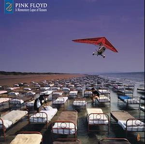 Pink Floyd – A Momentary Lapse of Reason (Remixed & Updated 2019) – vinyl