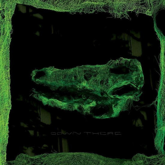 Avey Tare – DOWN THERE – vinyl