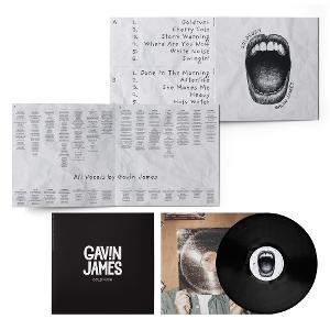 Gavin James – Goldrush – vinyl