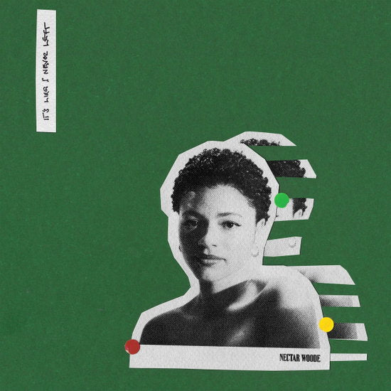 Nectar Woode – it's like I never left – vinyl