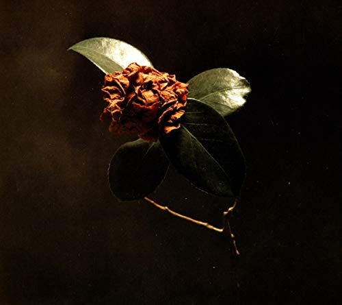 St. Paul & The Broken Bones – YOUNG SICK CAMELLIA – vinyl