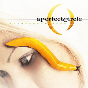 A Perfect Circle – THIRTEENTH STEP – vinyl