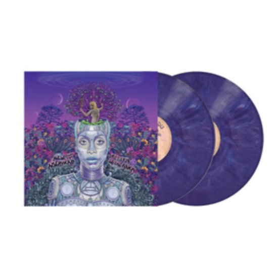 Erykah Badu – NEW AMERYKAH PART TWO – vinyl