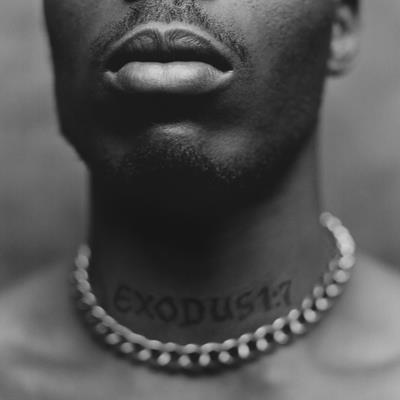 DMX – EXODUS – vinyl