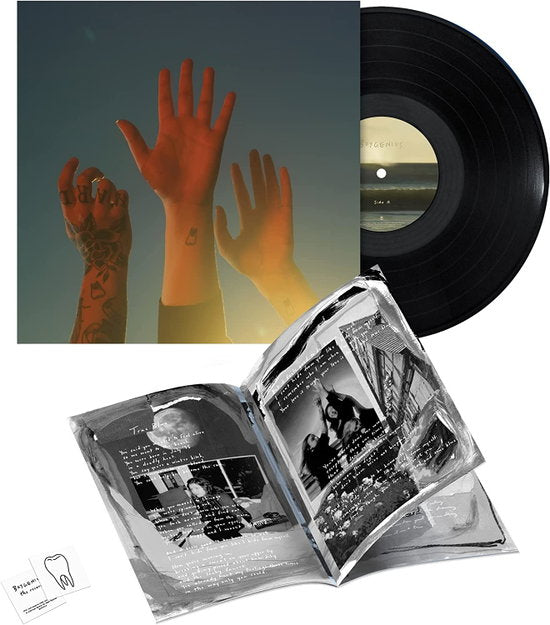 boygenius – the record – vinyl