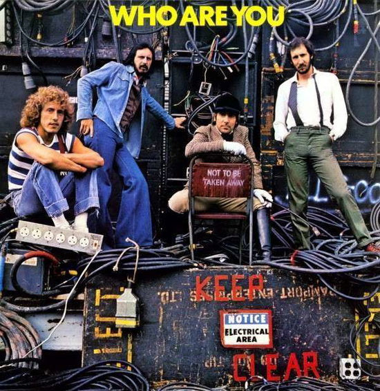 The Who – WHO ARE YOU – vinyl