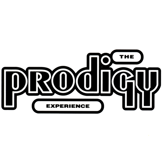 The Prodigy – Experience – vinyl