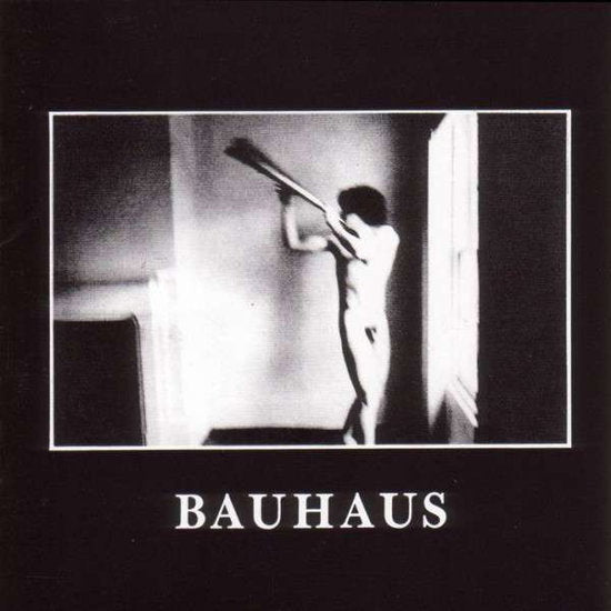Bauhaus – IN THE FLAT FIELD – vinyl
