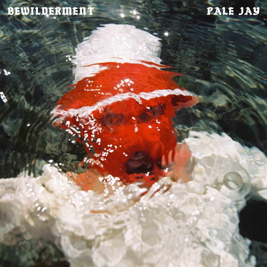 Pale Jay – BEWILDERMENT – vinyl