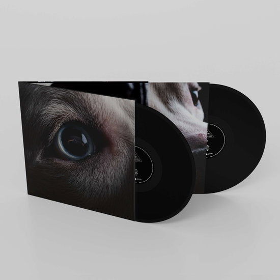 Roger Waters – THE DARK SIDE OF THE MOON REDUX – vinyl