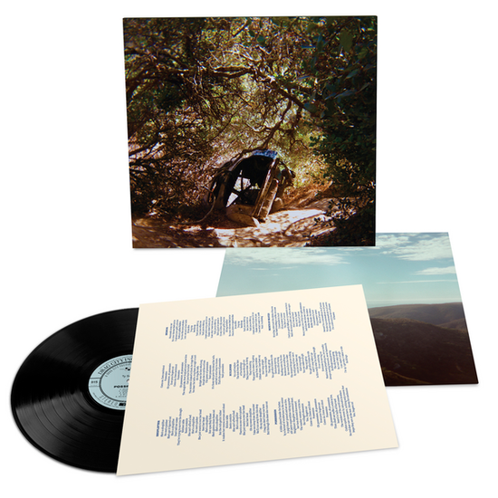 Ty Segall – POSSESSION – vinyl