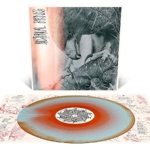 Author & Punisher – NOCTURNAL BIRDING – vinyl