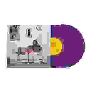 Aminé – 13 MONTHS OF SUNSHINE – vinyl