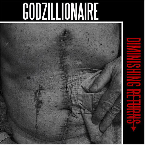 Godzillionaire – DIMINISHING RETURNS – vinyl