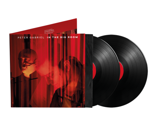Peter Gabriel – IN THE BIG ROOM – vinyl