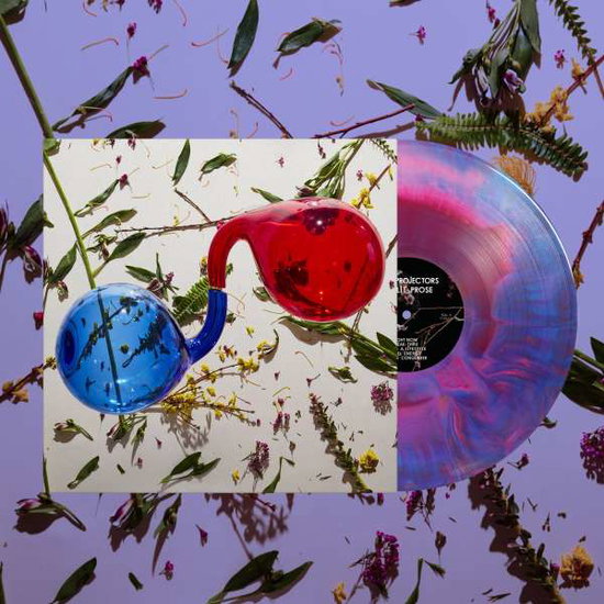 Dirty Projectors – LAMP LIT PROSE – vinyl