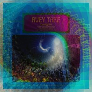 Avey Tare – EUCALYPTUS – vinyl