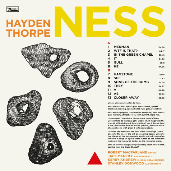 Hayden Thorpe – NESS – vinyl