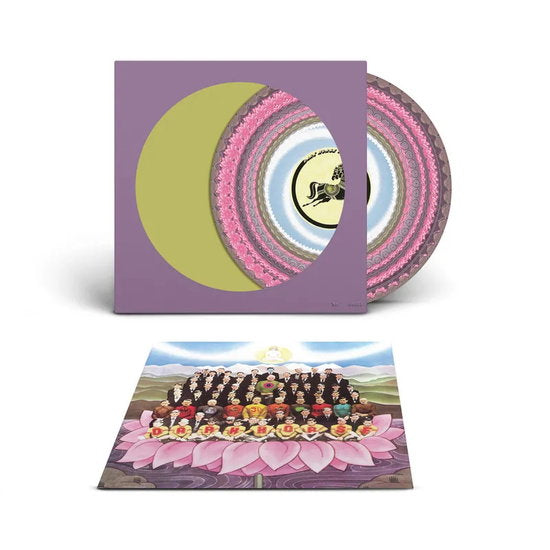 George Harrison – DARK HORSE – vinyl