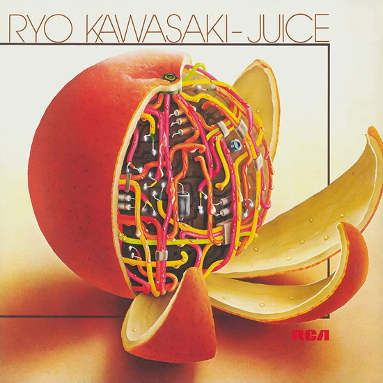 Ryo Kawasaki – JUICE-NB – vinyl