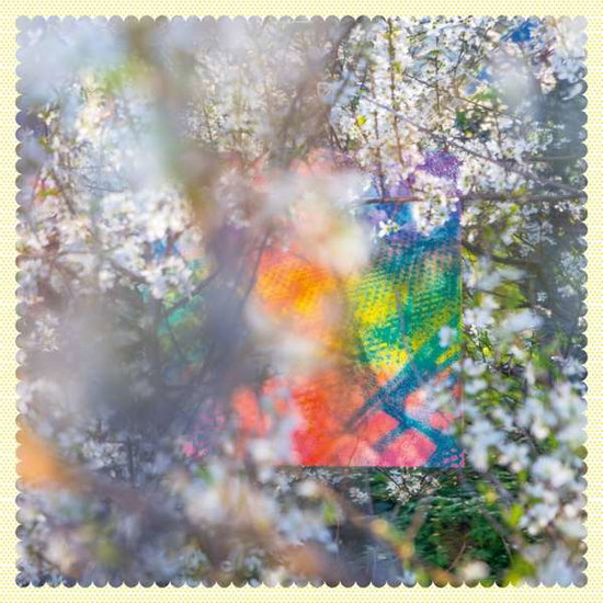 Four Tet – Sixteen Oceans – vinyl