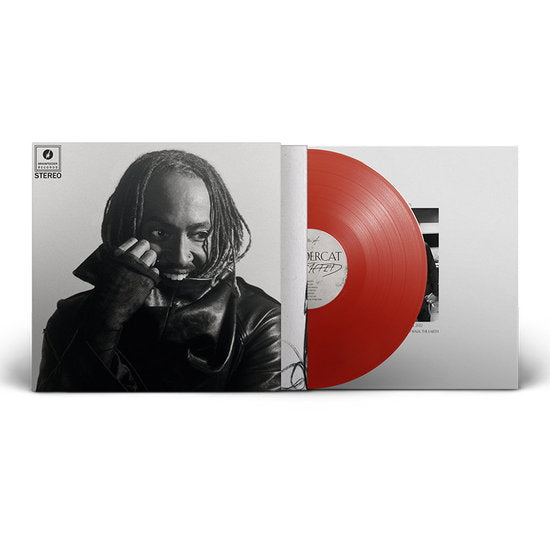Thundercat – DISTRACTED – vinyl