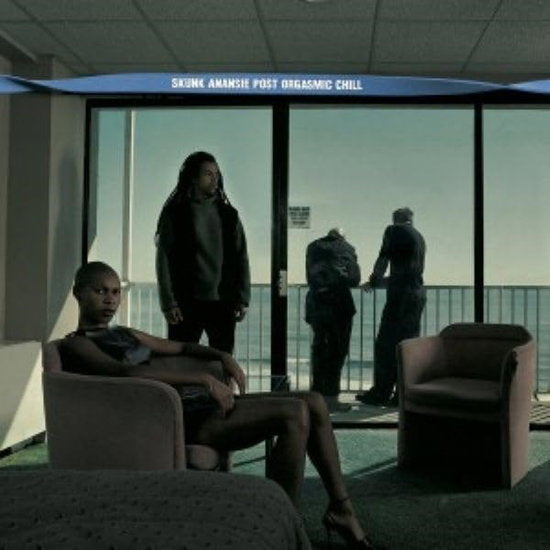 Skunk Anansie – POST ORGASMIC CHILL – vinyl