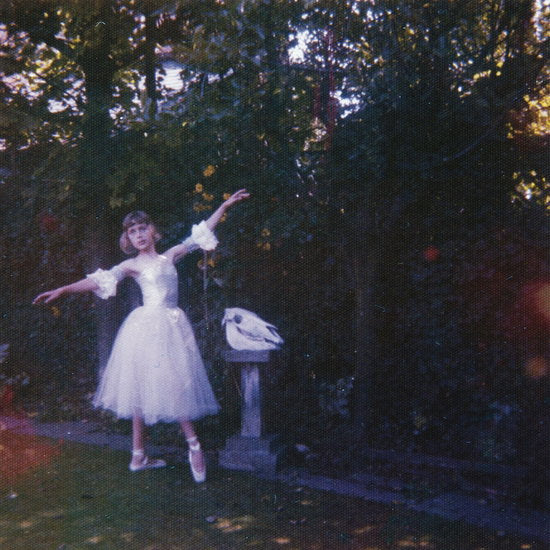 Wolf Alice – Visions of a Life – vinyl