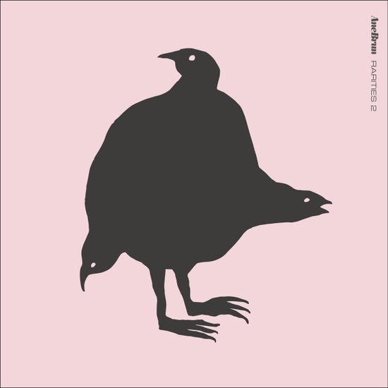 Ane Brun – RARITIES 2 – vinyl