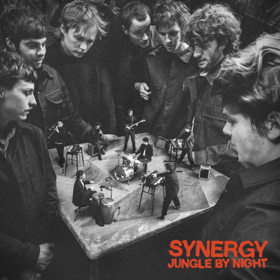 Jungle By Night – SYNERGY – vinyl