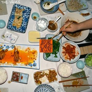 The Vices – BEFORE IT MIGHT BE GONE – vinyl