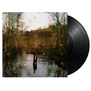 Remy Van Kesteren – LEAVE WHAT YOU KNOW – vinyl