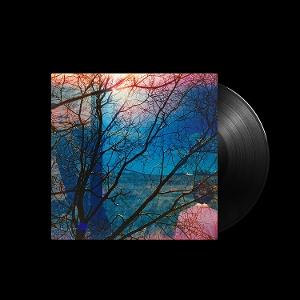 Idlewild – IDLEWILD – vinyl