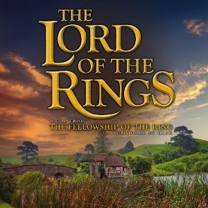 The Lord Of The Rings (Mask) – THE FELLOWSHIP OF THE RINGS – vinyl