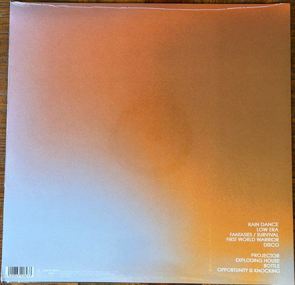 Geese – PROJECTOR – achterkant hoes