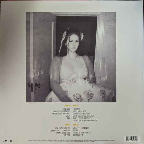Lana Del Rey – Did You Know That There's a Tunnel Under Ocean Blvd – achterkant hoes