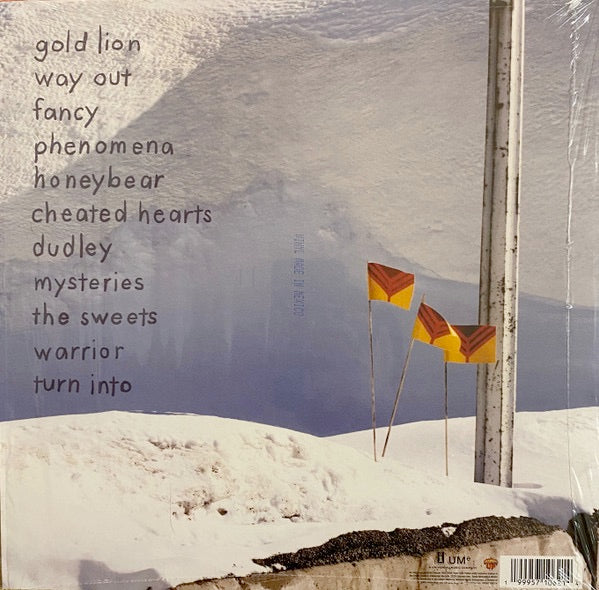 Yeah Yeah Yeahs – SHOW YOUR BONES – achterkant hoes