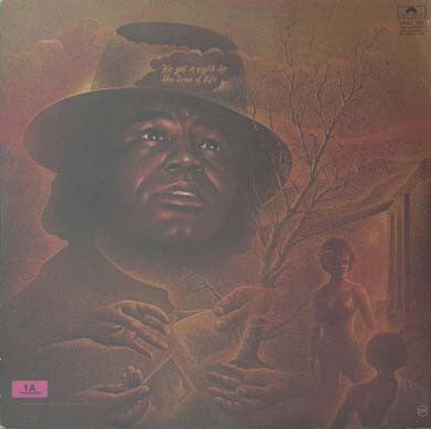 James Brown – THE PAYBACK – achterkant hoes
