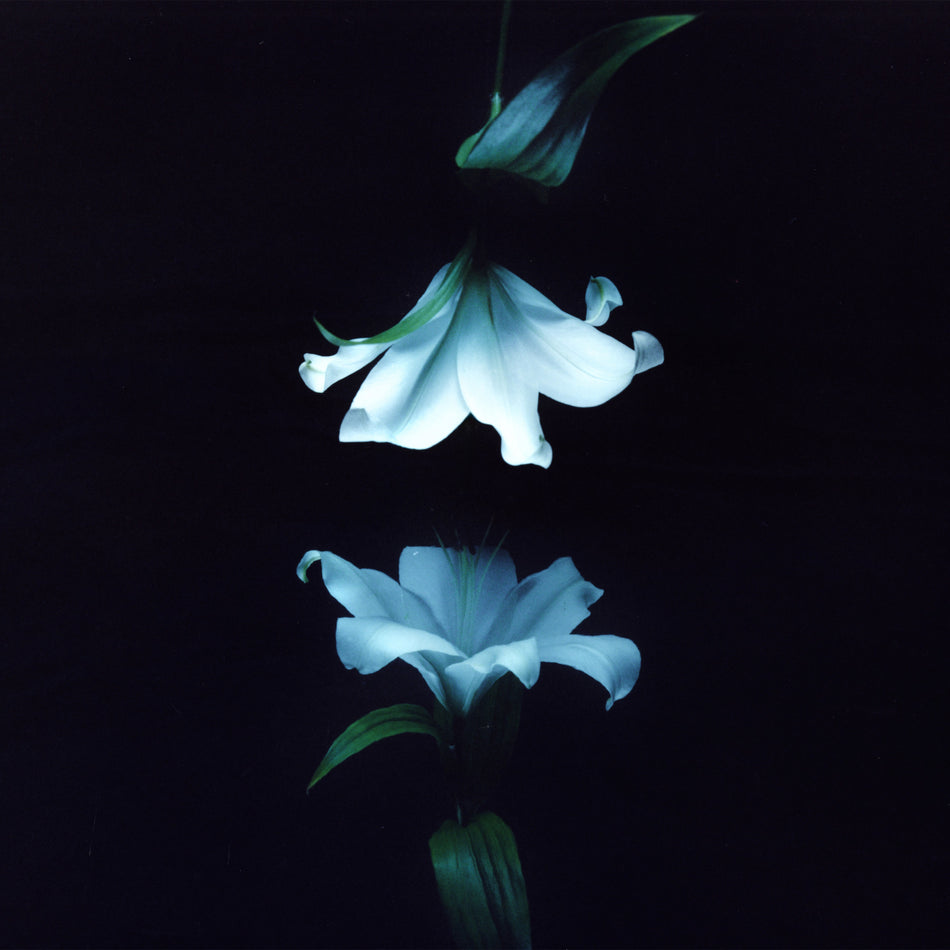 Wasia Project – NOCTURNE – vinyl